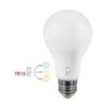 LED-Glühlampe 17W Sockel E27 3/4/6K 11000/BNC - Stone