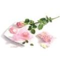 Glorex Organzasäckchen rosa, 8 x 10 cm, 6 Stück Schmuckbasteln