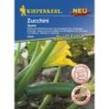 Zucchini Quine Cucurbita pepo, Inhalt 6 Korn Gemüsesamen - Kiepenkerl