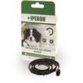 2 Stk. IPERON® Flohhalsband Hund klein 60 cm