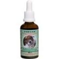 Fortan Zahnpflegemittel vet. 50 ml