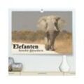 CALVENDO Wandkalender Elefanten. Sensible Rüsseltiere (Premium