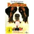 Ein Hund namens Beethoven (DVD)