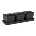 Snack & Dip Schalen Set (BHT 30,50x10x8 cm)