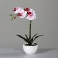 Kunstblume Orchidee (H 40 cm)
