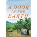 A Door in the Earth - Amy Waldman, Taschenbuch