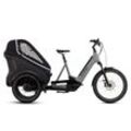 Cube Trike Hybrid Family 750 - 26/20 Zoll 750Wh Enviolo Trike - swampgrey´n´reflex