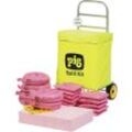 Notfall-Kit in Trolley-Wagen PIG