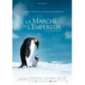 Close Up Poster Die Reise der Pinguine Poster 68 x 98 cm