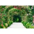 PAPERMOON Fototapete "Rose Arch Garden" Tapeten Gr. B/L: 3,5 m x 2,6 m, bunt (mehrfarbig) Fototapeten