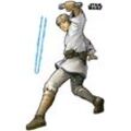 KOMAR Vliestapete "Star Wars XXL Luke Skywalker" Tapeten 127x200 cm (Breite x Höhe), selbstklebendes Vlies Gr. B/L: 127 m x 200 m, Rollen: 1 St., bunt Vliestapeten