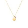 Birthstone July Necklace 14K Gold Plated