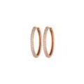 Allira Hoops Medium 18K Rose Gold Plated