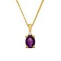 Amethyst Protection Necklace 14K Gold Plated
