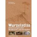 Wurzelatlas mitteleuropäischer Waldbäume und Sträucher - Lore Kutschera, Erwin Lichtenegger, Gebunden