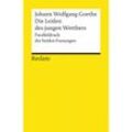 Die Leiden des jungen Werthers, Studienausgabe - Johann Wolfgang von Goethe, Taschenbuch