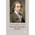 Die Leiden des jungen Werthers - Johann Wolfgang von Goethe, Kartoniert (TB)