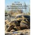 Die Haltung der Steppenschildkröten Agrionemys horsfieldii - Ude Fass, Kartoniert (TB)