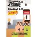 Friends Forever Staffel 1 . 2 - Sebastian Pink, Kartoniert (TB)