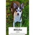 Notizbuch für Chihuahua Liebhaber - equipster GmbH, Kartoniert (TB)