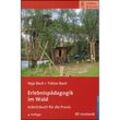 Erlebnispädagogik im Wald - Hajo Bach, Tobias Bach, Kartoniert (TB)