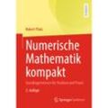 Numerische Mathematik kompakt - Robert Plato, Kartoniert (TB)