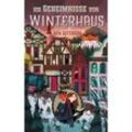 Die Geheimnisse von Winterhaus - Ben Guterson, Gebunden