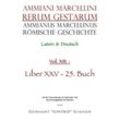 Ammianus Marcellinus Römische Geschichte XIII. - Ammianus Marcellinus, Kartoniert (TB)