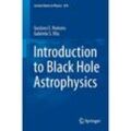 Introduction to Black Hole Astrophysics - Gustavo E. Romero, Gabriela S. Vila, Kartoniert (TB)