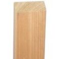 Holz Zaunlatte Natura aus Lärche, naturbelassen - Holzlatte lieferbar in Länge 60 cm