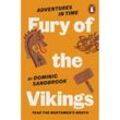 Adventures in Time: Fury of The Vikings - Dominic Sandbrook, Kartoniert (TB)