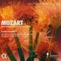 Klavierkonzerte 15,16 & 17 (Kv 450,451,453) - Huangci, Griffiths, Mozarteumorchester Salzburg. (CD)