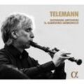 Flötenkonzerte - Giovanni Antonini, Il Giardino Armonico. (CD)