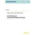 Changing Europe / Civil Society in Central and Eastern Europe - Heiko Pleines, Sabine Fischer, Kartoniert (TB)