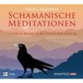 Schamanische Meditationen,2 Audio-CDs - Sandra Ingerman (Hörbuch)