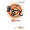 Marugoto: Japanese language and culture. Elementary 1 A2 Katsudoo, Kartoniert (TB)
