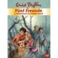 Fünf Freunde - 3 Abenteuer in einem Band / Fünf Freunde Sammelbände Bd.1 - Enid Blyton, Gebunden
