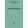 Transition in Eastern Europe: Current Issues and Perspectives., Kartoniert (TB)