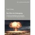 Der Sinn im Untergang. Filmische Apokalypsen als Krisentexte im atomaren und ökologischen Diskurs - Peter Podrez, Kartoniert (TB)