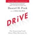 Drive - Daniel H. Pink, Gebunden