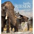 Sanfte Riesen - Art Wolfe, Samuel Wasser, Gebunden