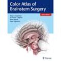 Color Atlas of Brainstem Surgery, Gebunden