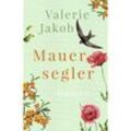 Mauersegler - Valerie Jakob, Kartoniert (TB)