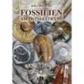 Fossilien am Ostseestrand - Rolf Reinicke, Kartoniert (TB)