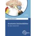 Anatomie-Zeichenblätter für den Unterricht, Lösungsheft - Mathias Bardl, Sylvana Bardl, Kartoniert (TB)