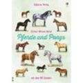 Sticker-Wissen Natur / Sticker-Wissen Natur: Pferde und Ponys - Joanna Spector, Kartoniert (TB)