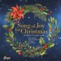 Song of Joy for Christmas,Audio-CD - . (CD)