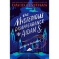 The Mysterious Disappearance of Aidan S. (as told to his brother) - David Levithan, Kartoniert (TB)