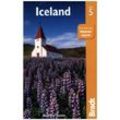 Travel Guide / Iceland - Andrew Evans, Kartoniert (TB)