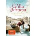 Villa Fortuna / Belmonte Bd.2 - Antonia Riepp, Kartoniert (TB)